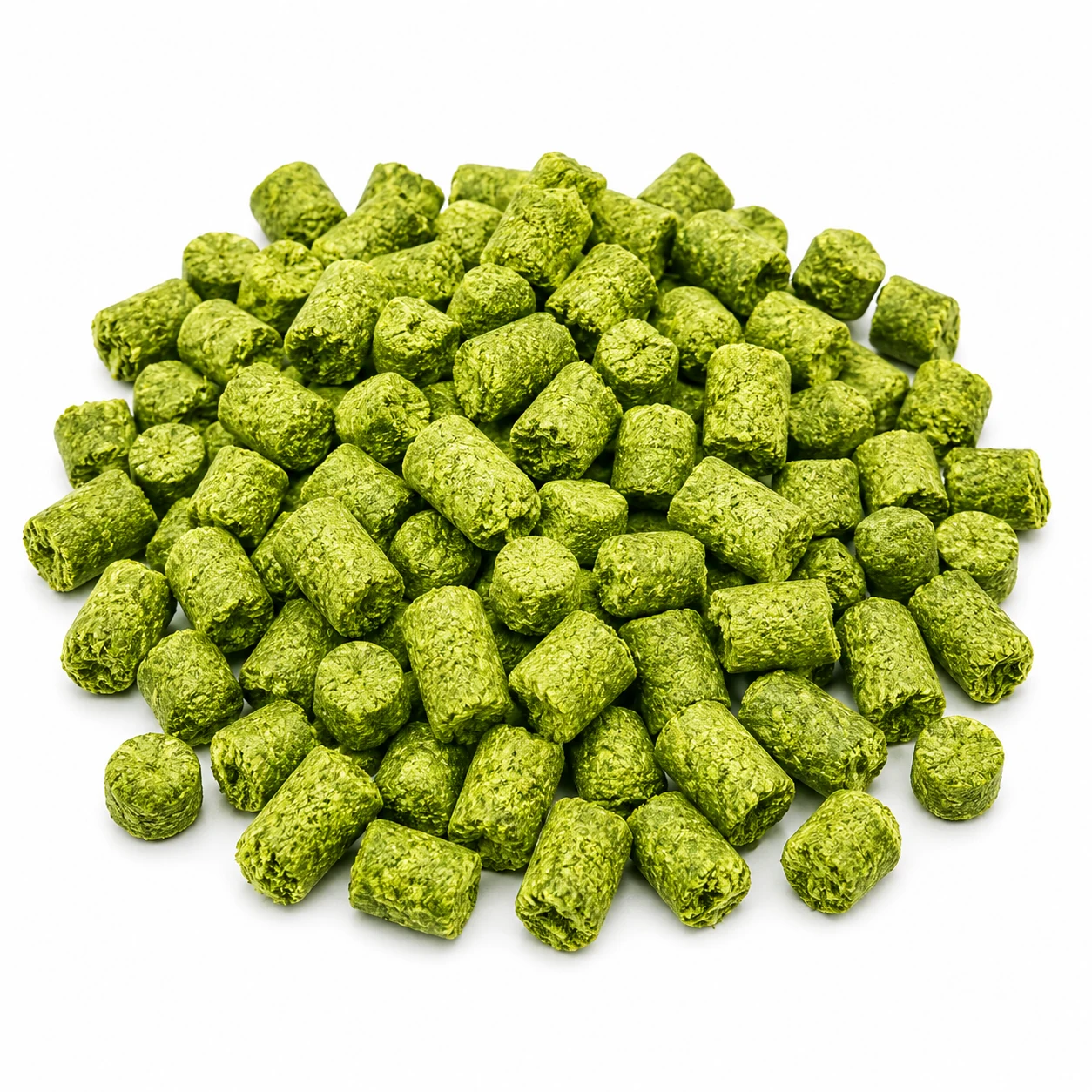 Northern Brewer