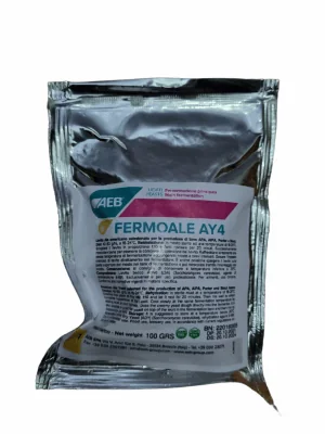 FermoAle AY3