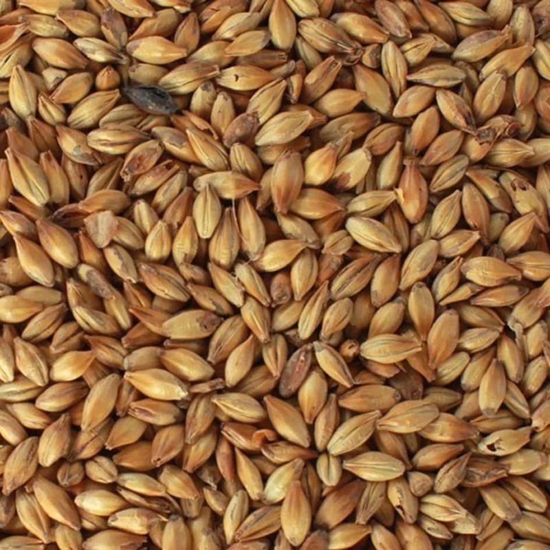 Caramelo 140