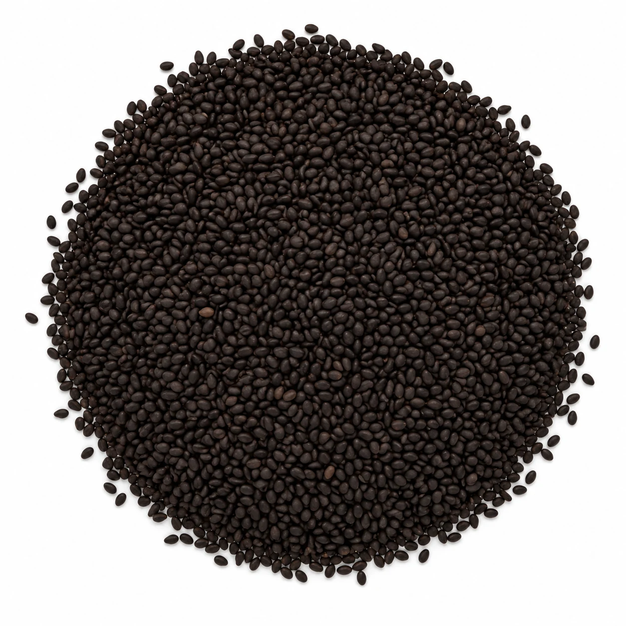 Roasted Barley Weyermann