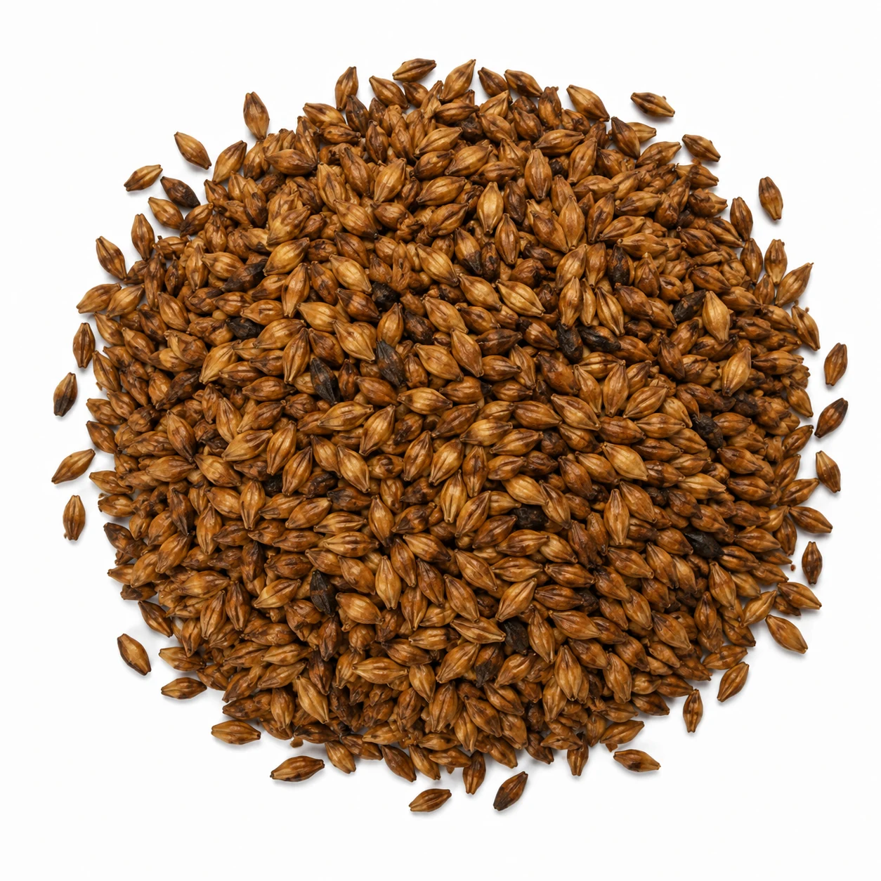 Special B Castle Malting