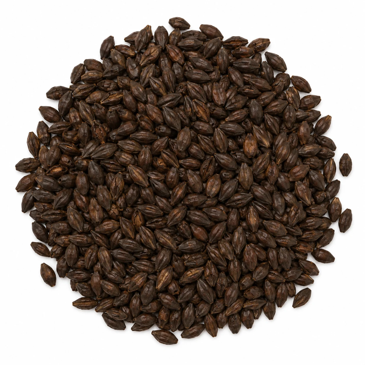 Malta Chocolate 900 Castle Malting