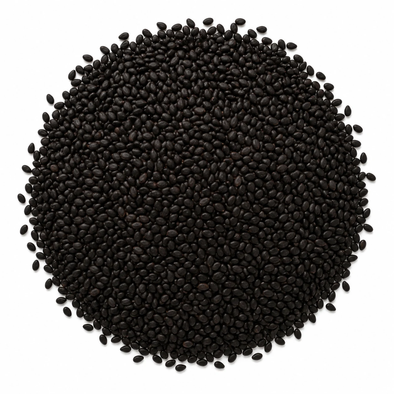 Carafa II Weyermann